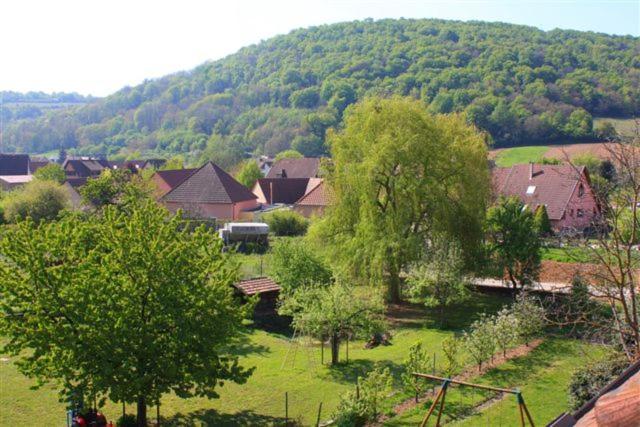 Logis Du Cheval Blanc Hotel Westhalten Exterior foto